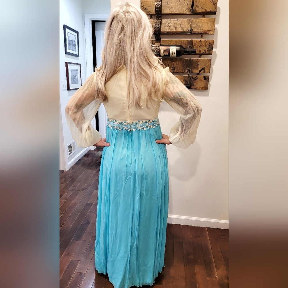 Vintage 1970s blue and ivory tulle embroidered floral maxi dress gown - Picture 6 of 14